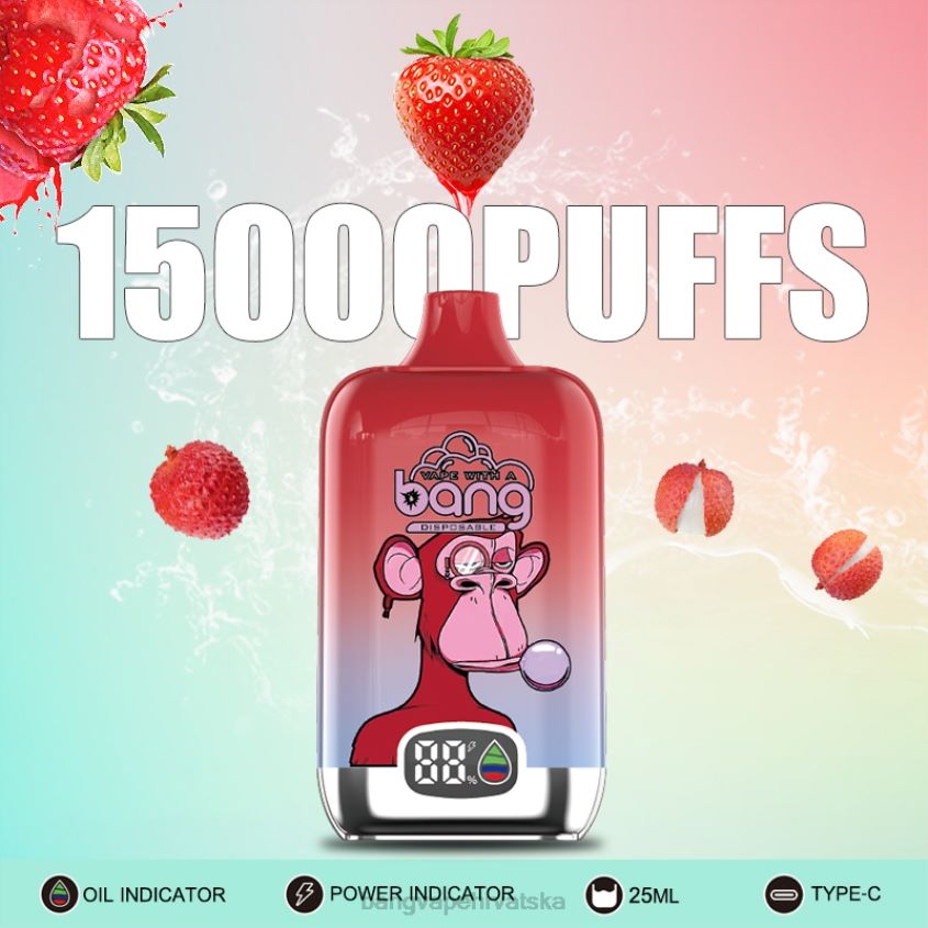 Bang Vape Digital Smart Screen 15000 udaha 25 ml za jednokratnu upotrebu Vape Gang Hrvatska H2NTV11