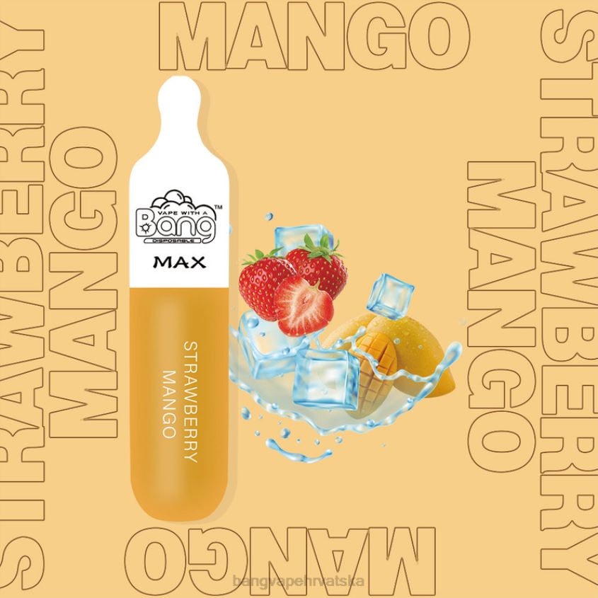 Bang Vape Max 5000 puff bar za jednokratnu upotrebu Bang Disposable Vape Review H2NTV10