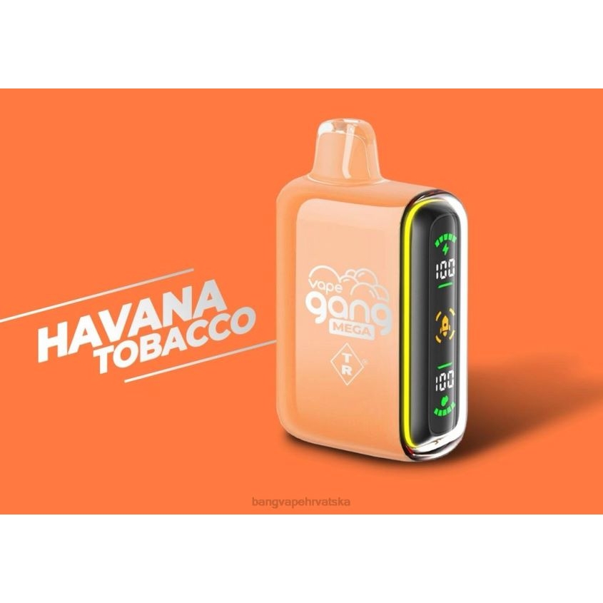Vape Gang MEGA Vape za jednokratnu upotrebu od 20 000 udisaja (kutija od 5) havana duhan Vape Gang Zagreb H2NTV55