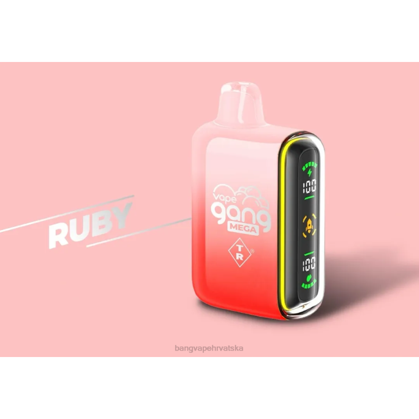 Vape Gang MEGA Vape za jednokratnu upotrebu od 20 000 udisaja (kutija od 5) rubin Vape Gang Vape H2NTV58