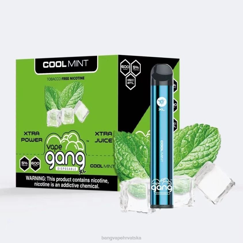 Vape Gang XL jednokratni vape 600 dimova (kutija od 10) hladna menta Vape Gang Flavors H2NTV79